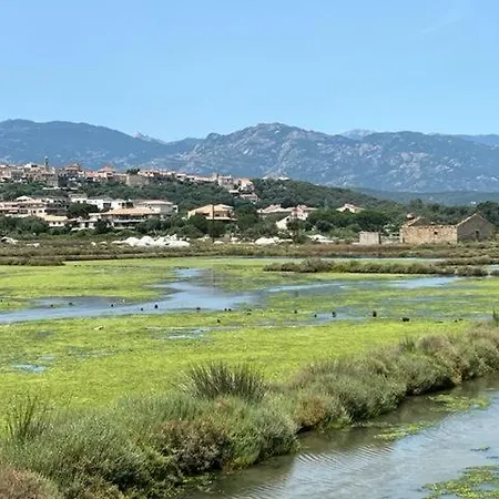 ヴィラ Luxueuse Villa, Hyper Centre Port De Vecchio *