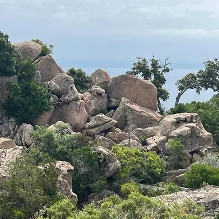 Luxueuse Villa, Hyper Centre Port De Vecchio ヴィラ *