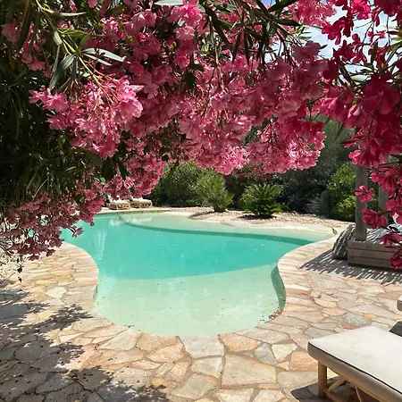 Vila Luxueuse Villa, Hyper Centre Port De Vecchio