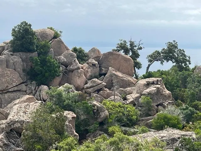 Luxueuse Villa, Hyper Centre Port De Vecchio فيلة *