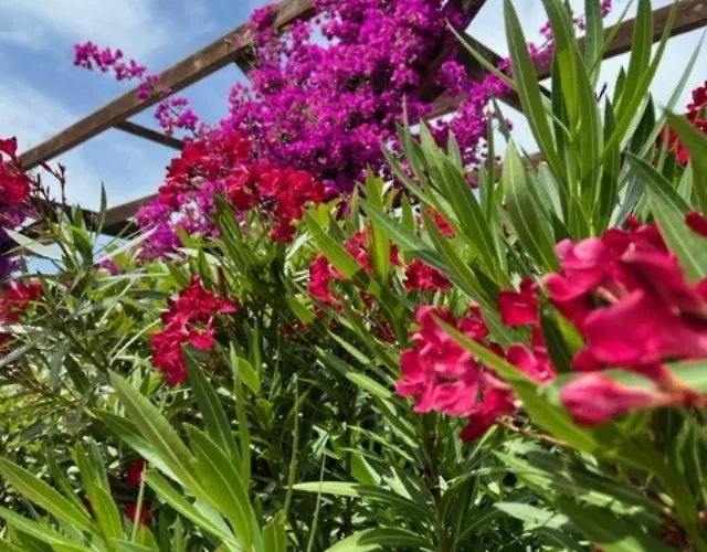 Luxueuse Villa, Hyper Centre Port De Vecchio Villa Porto-Vecchio