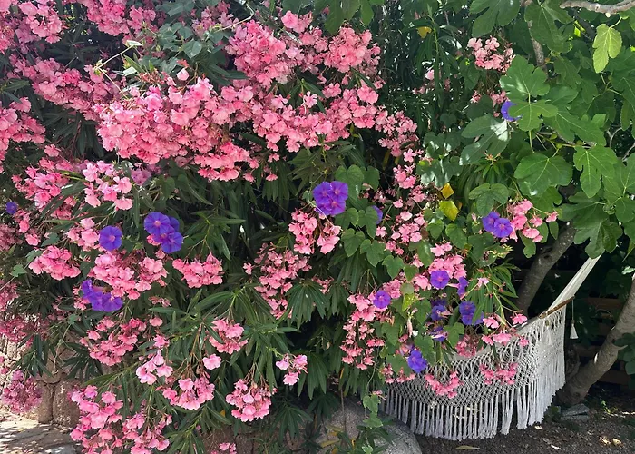 Luxueuse Villa, Hyper Centre Port De Vecchio Porto-Vecchio