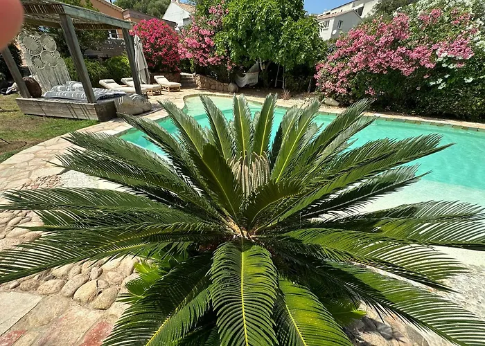 Luxueuse Villa, Hyper Centre Port De Vecchio فيلة