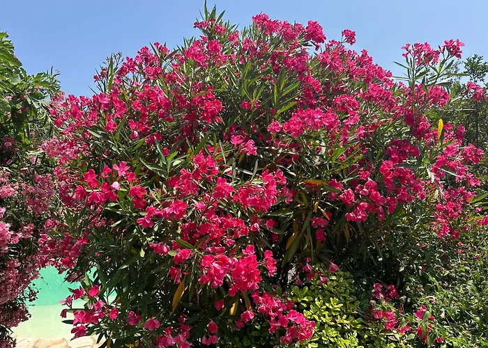 فيلة Luxueuse Villa, Hyper Centre Port De Vecchio